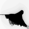 perpendicular_burning_ship preview
